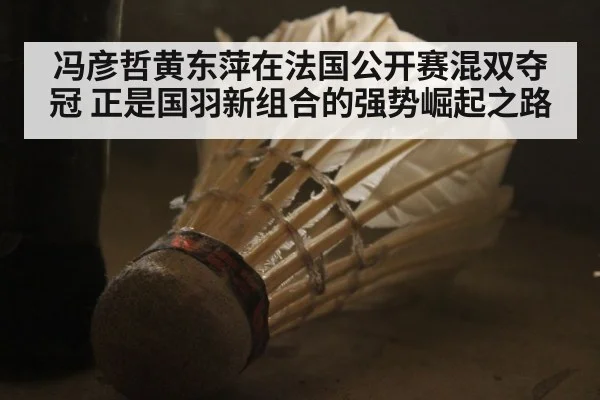 冯彦哲黄东萍在法国公开赛混双夺冠 正是国羽新组合的强势崛起之路